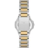 Ferro FL21366A-D10 Metal Band Women Watch - Image 3